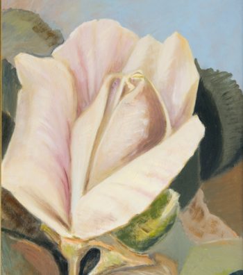 Magnolia (SOLD)