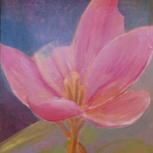 Still Life Untitled 01  (SOLD)